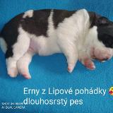 Erny z Lipové pohádky