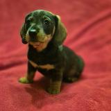 Ivánek z Lipové pohádky