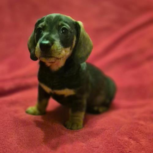 Ivánek z Lipové pohádky