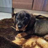 Ivánek z Lipové pohádky