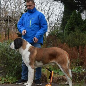 EJW. Izzi od Strážců hor