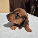  Julinek z Lipové pohádky