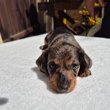 Jakub z Lipové pohádky